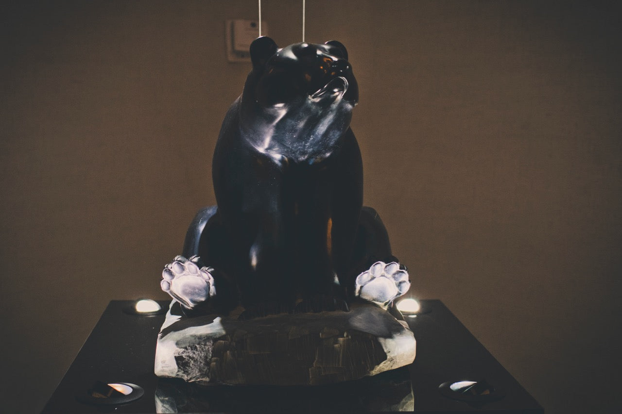 The Bear & the Butterfly Bear