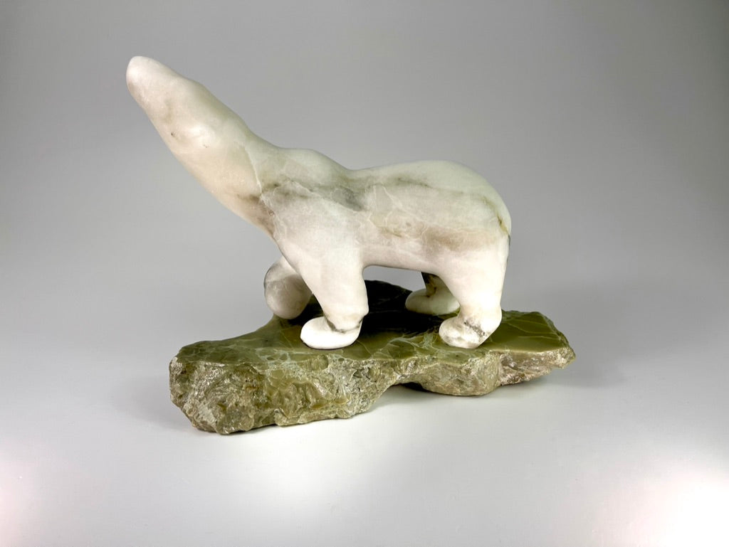 Baffin Bear
