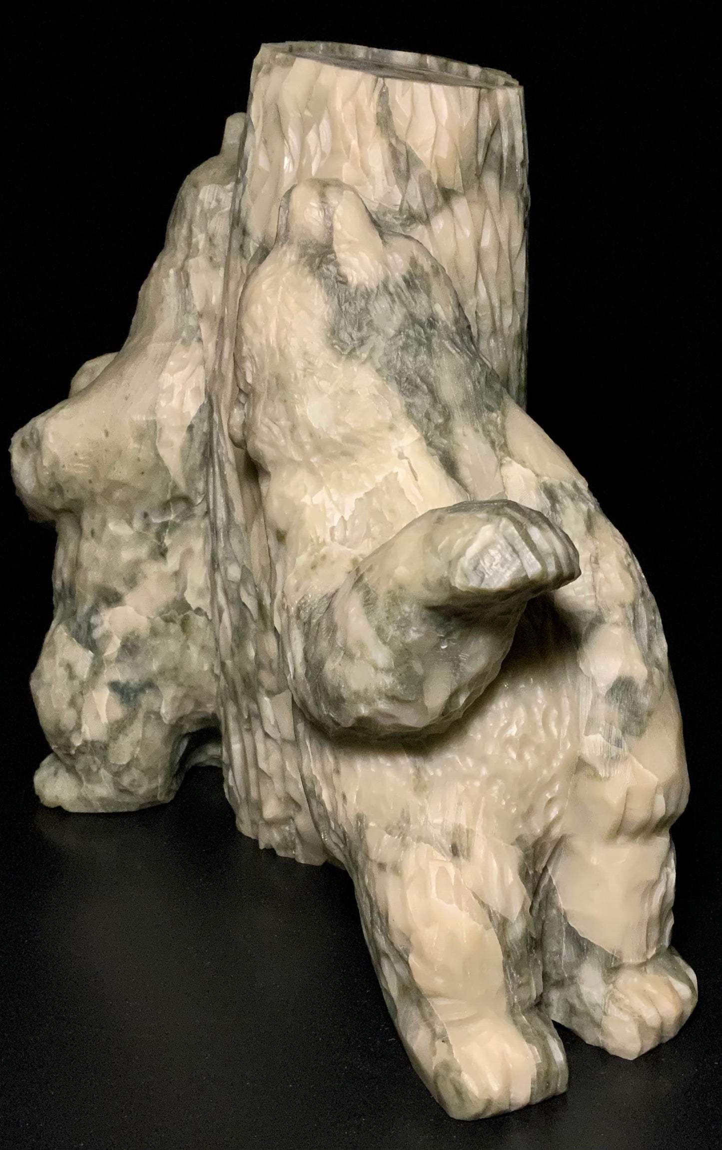 Bear Scratch