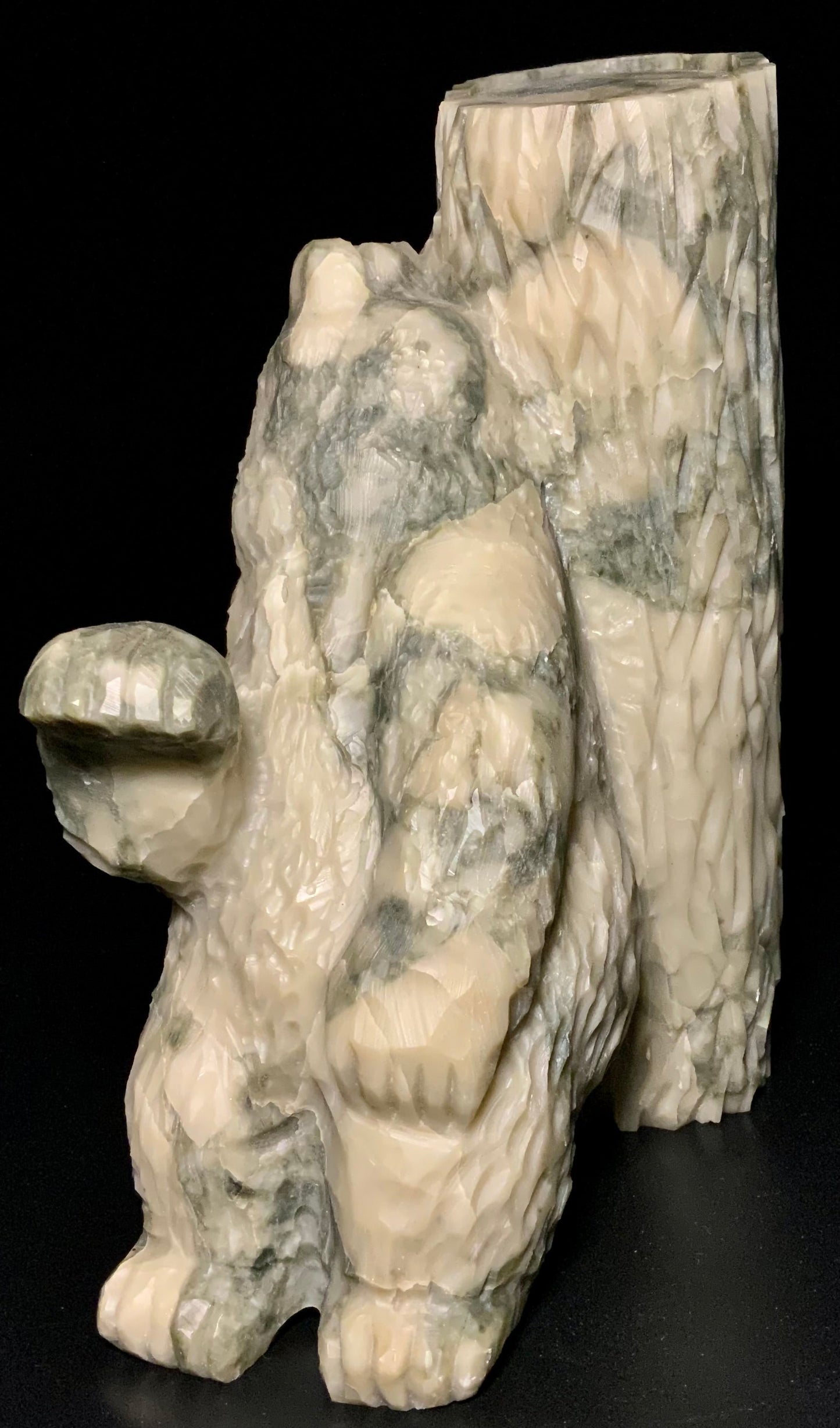 Bear Scratch