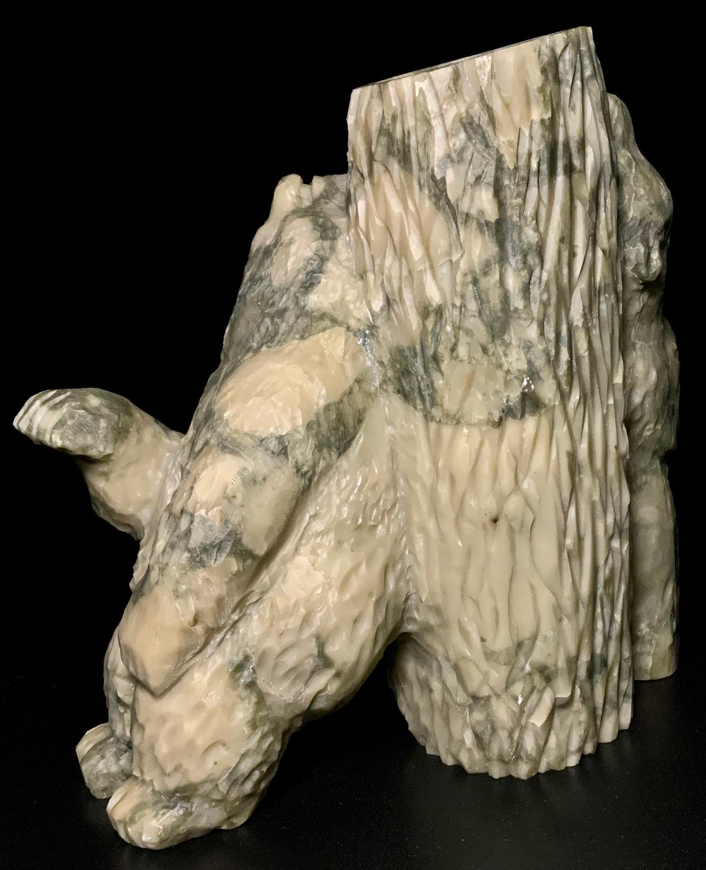 Bear Scratch