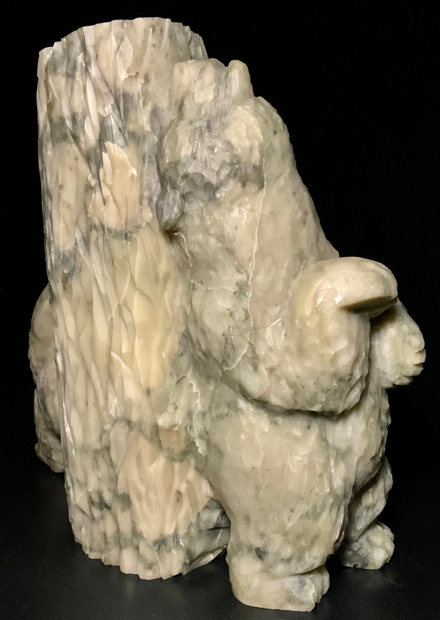 Bear Scratch