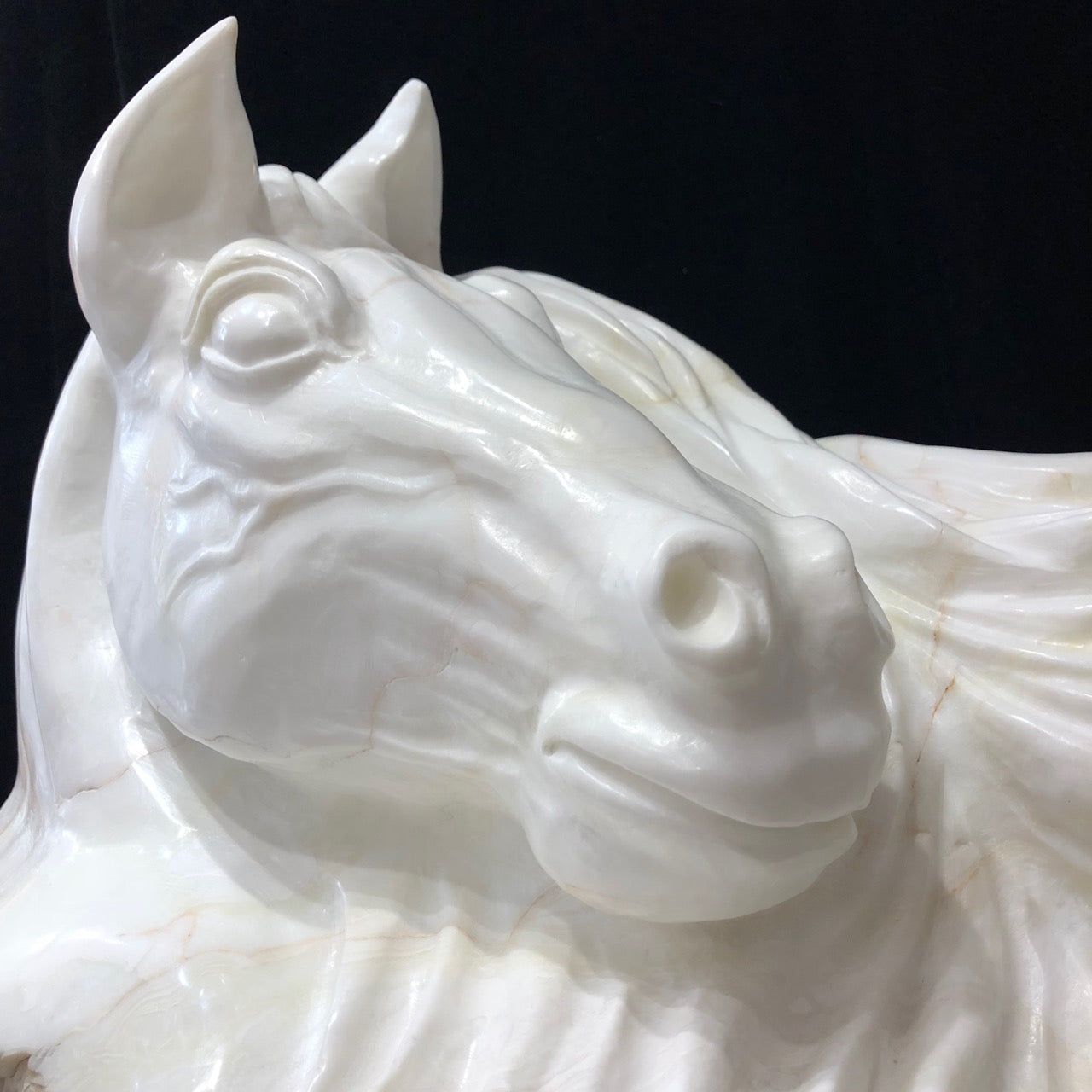 A Horse With No Name