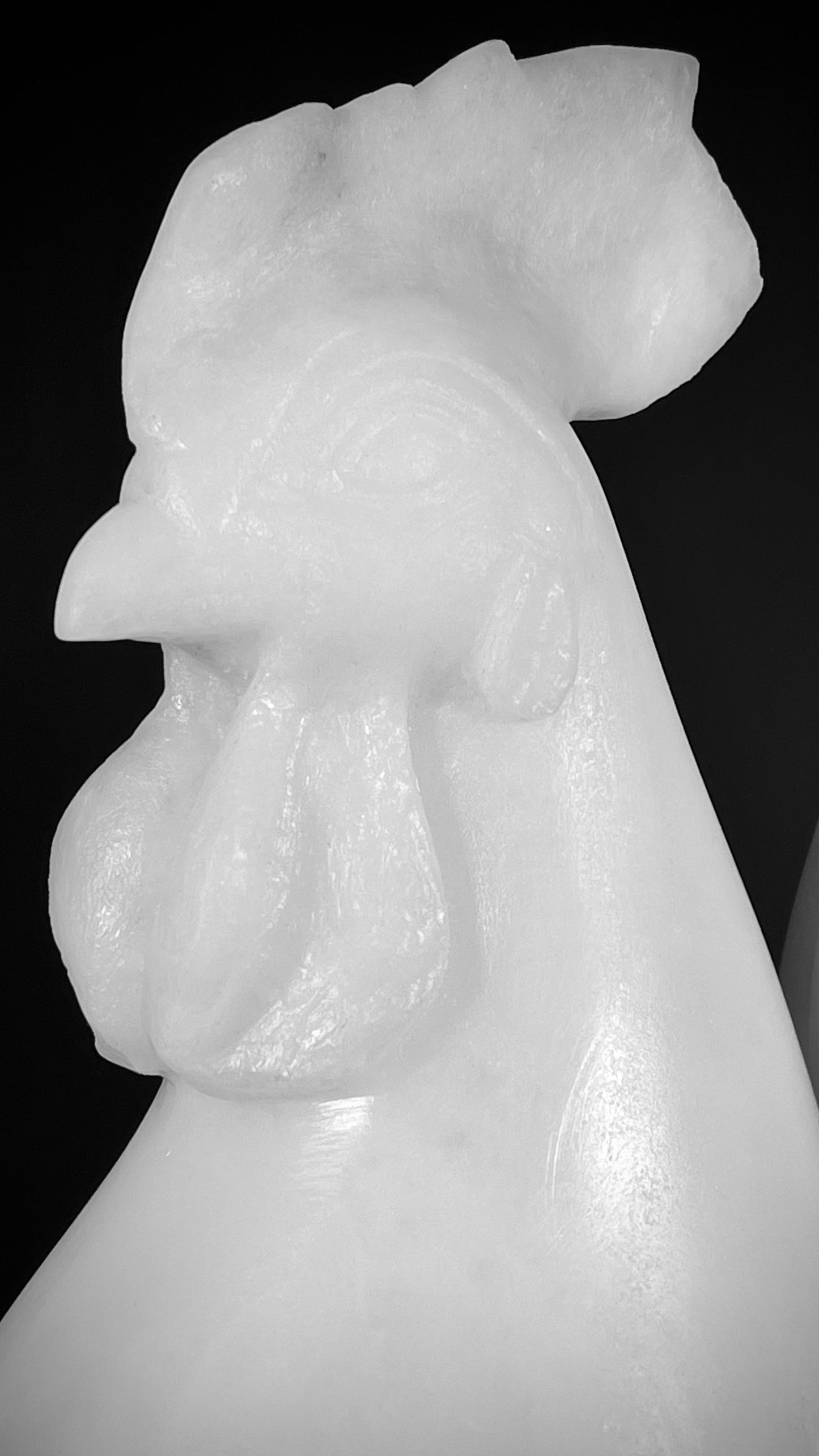 Gallo