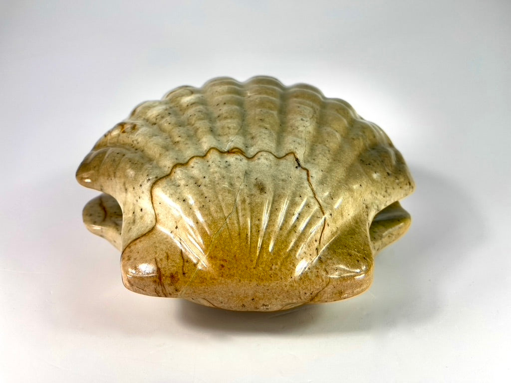 Clam With Pearl