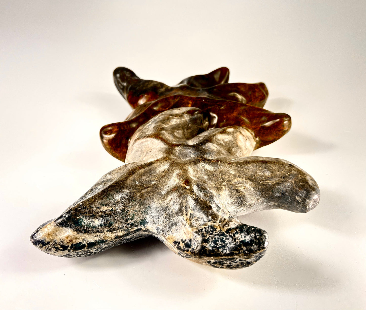 Sea Stars (Wall Mount)
