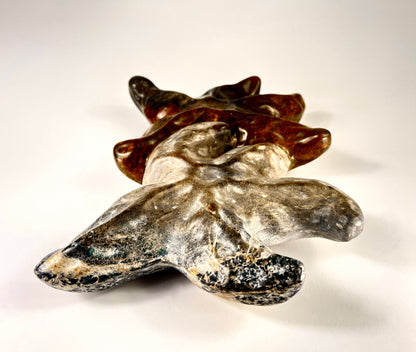 Sea Stars (Wall Mount)