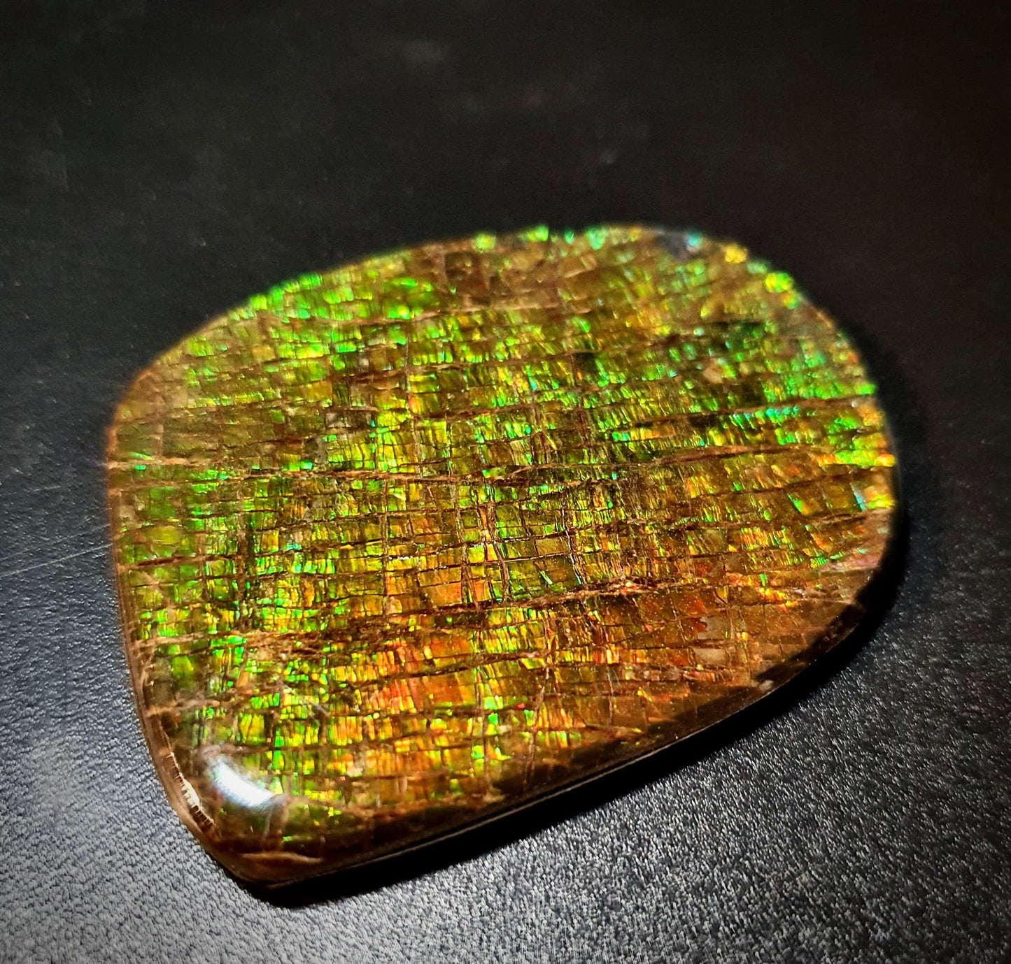 Ammolite hand stone