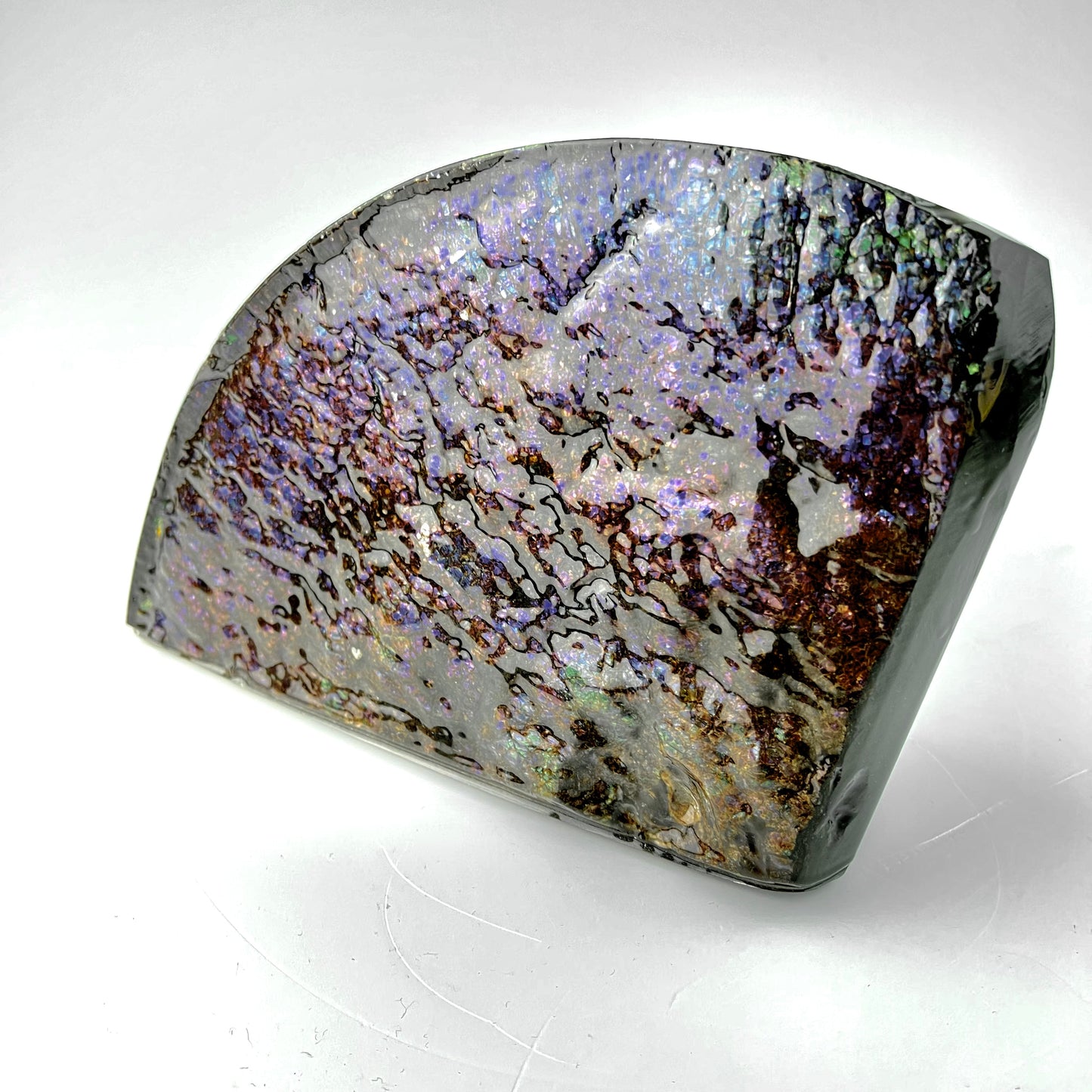 Dragon Skin Ammolite Bookend