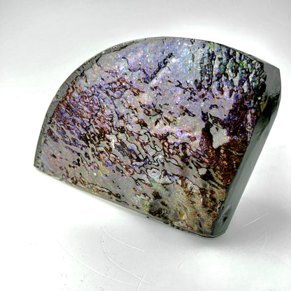 Dragon Skin Ammolite Bookend