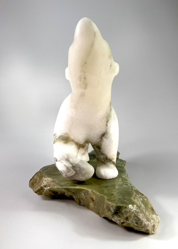 Baffin Bear