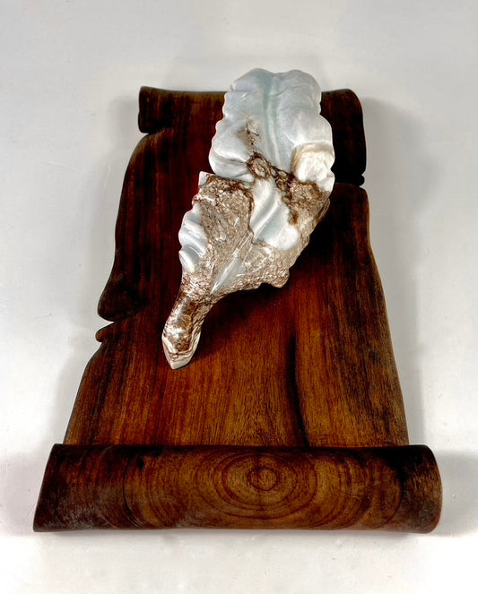 Quill and Scroll (Wall Mount)