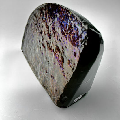 Dragon Skin Ammolite Bookend