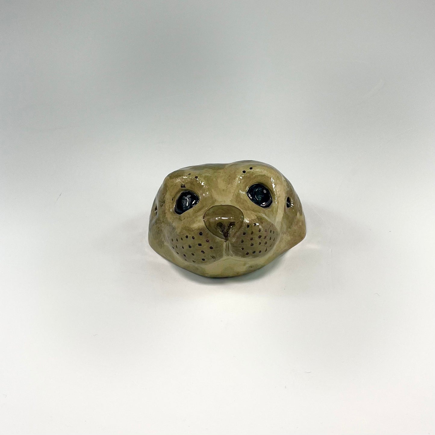 Seal Heads