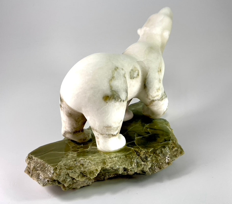 Baffin Bear
