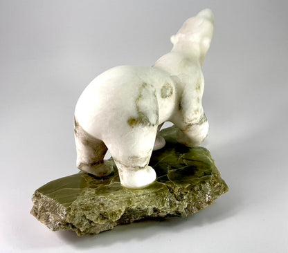 Baffin Bear