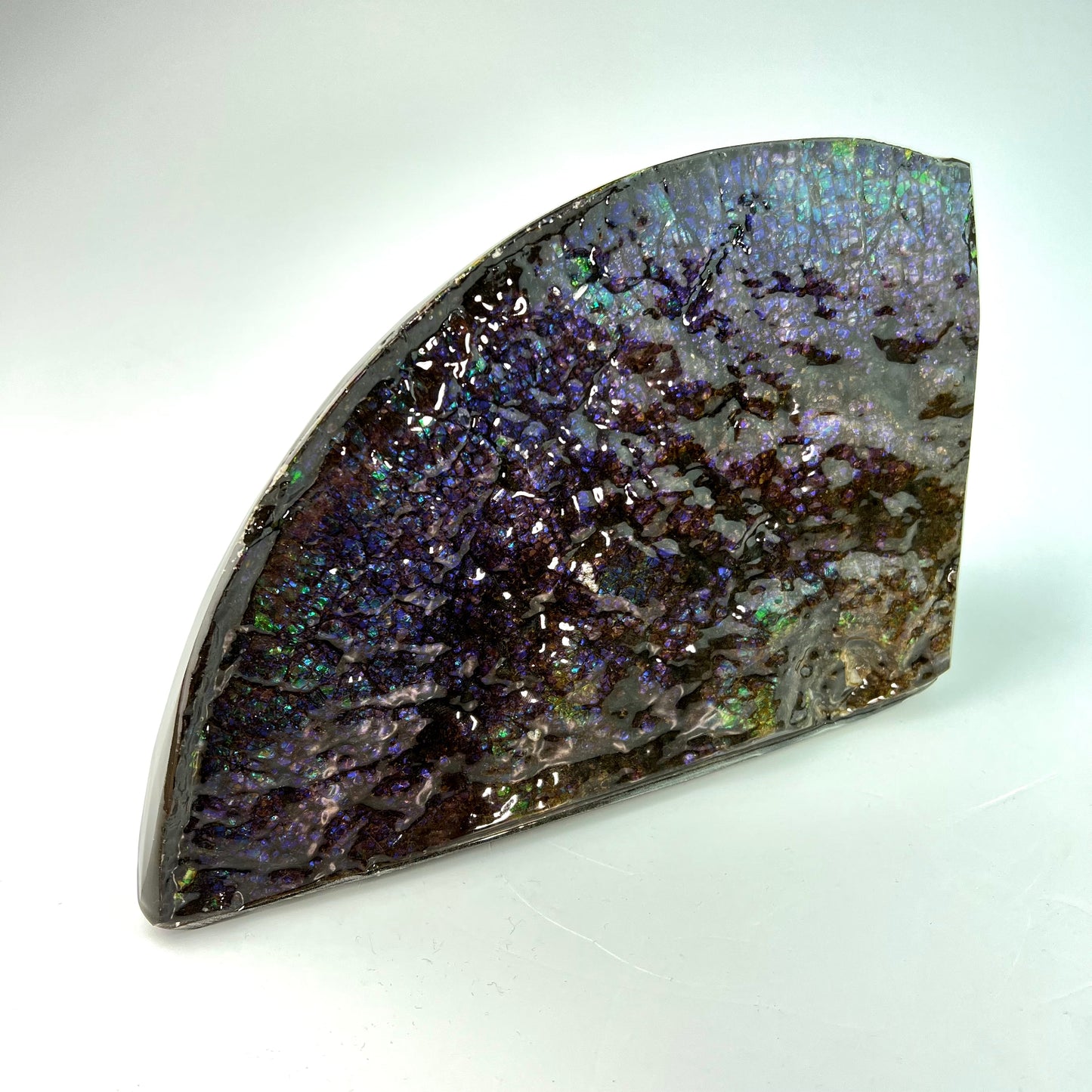 Dragon Skin Ammolite Bookend