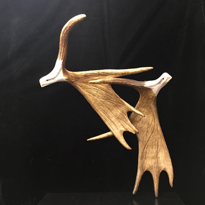 Headwind Antler