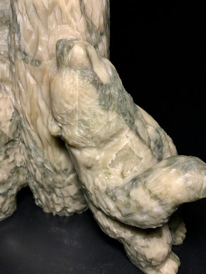 Bear Scratch