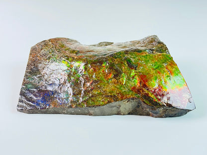 Ammolite Specimen - Dragon Skin Style