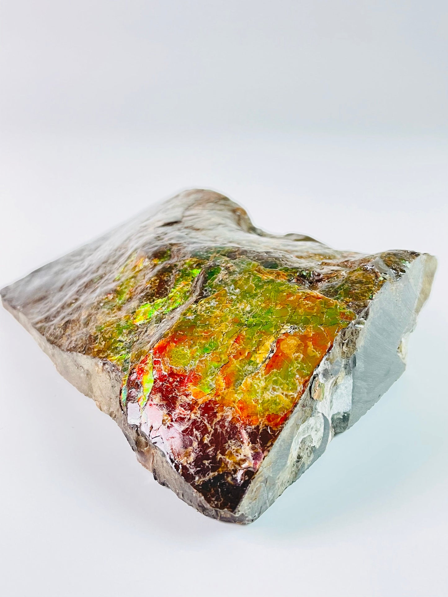 Ammolite Specimen - Dragon Skin Style