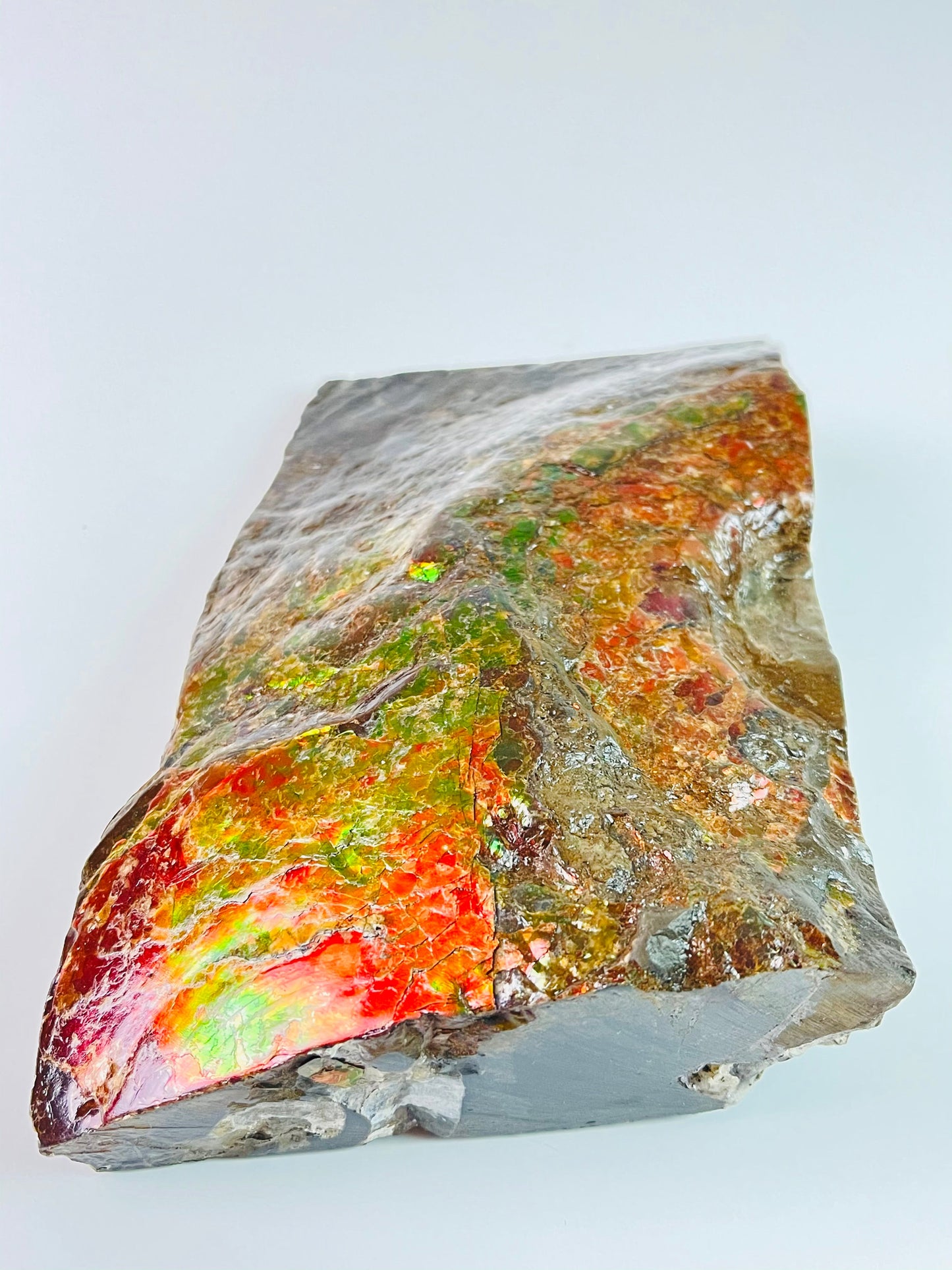 Ammolite Specimen - Dragon Skin Style