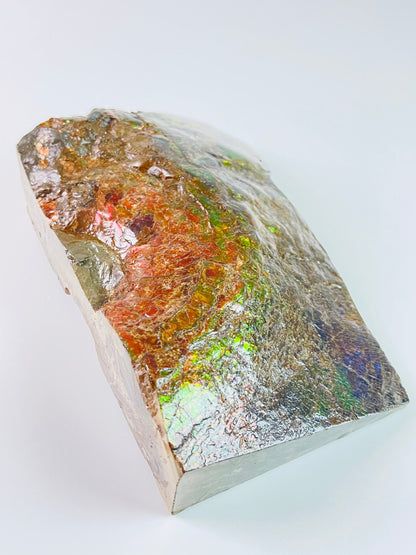 Ammolite Specimen - Dragon Skin Style