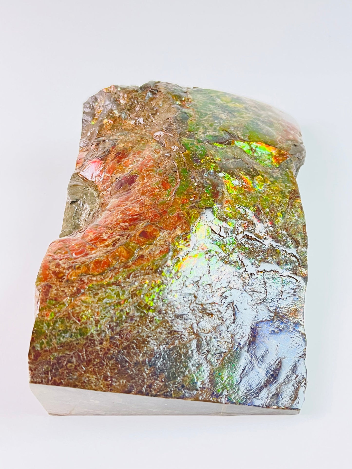 Ammolite Specimen - Dragon Skin Style