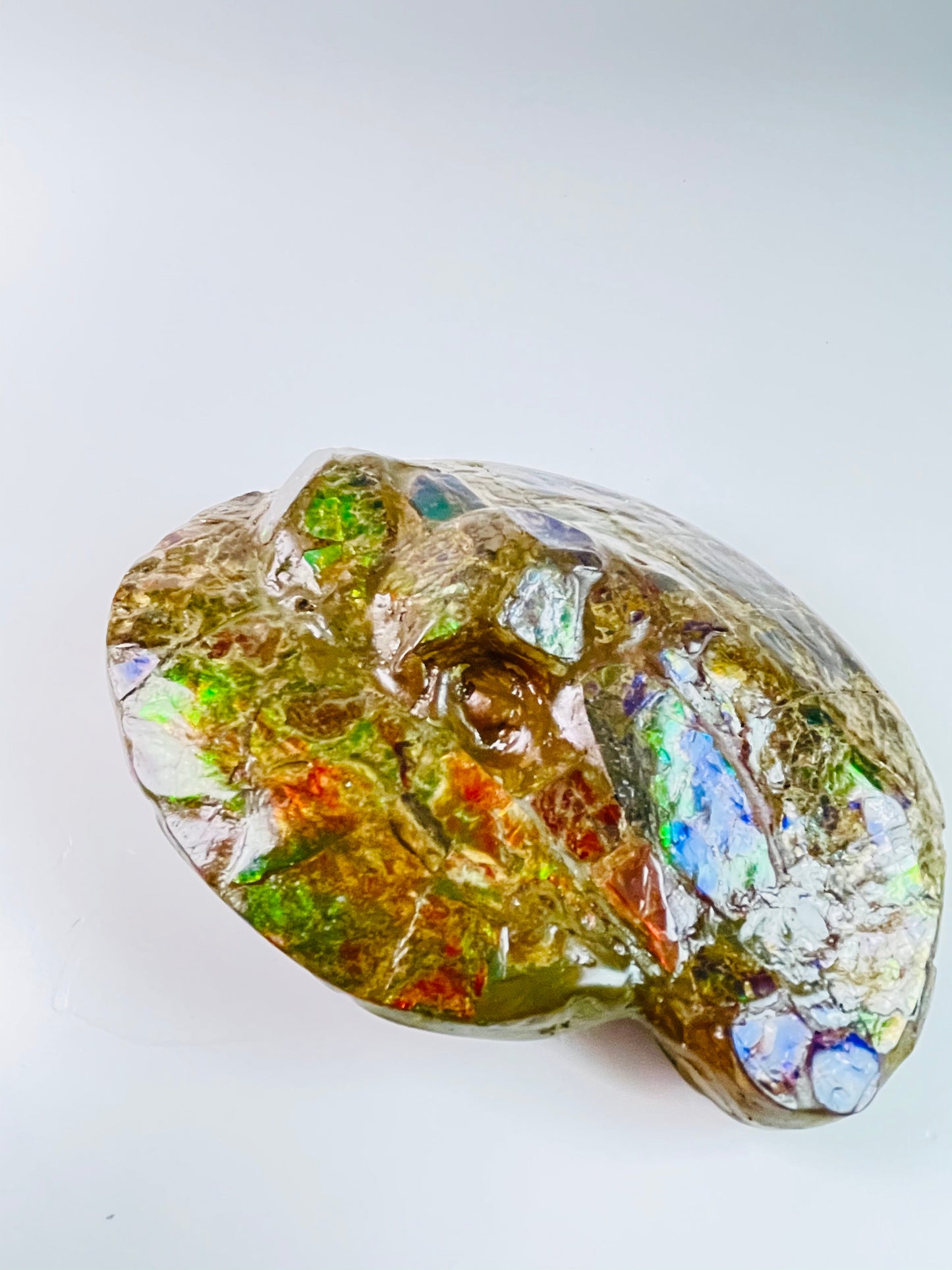 Ammolite Specimen - Frankenstone