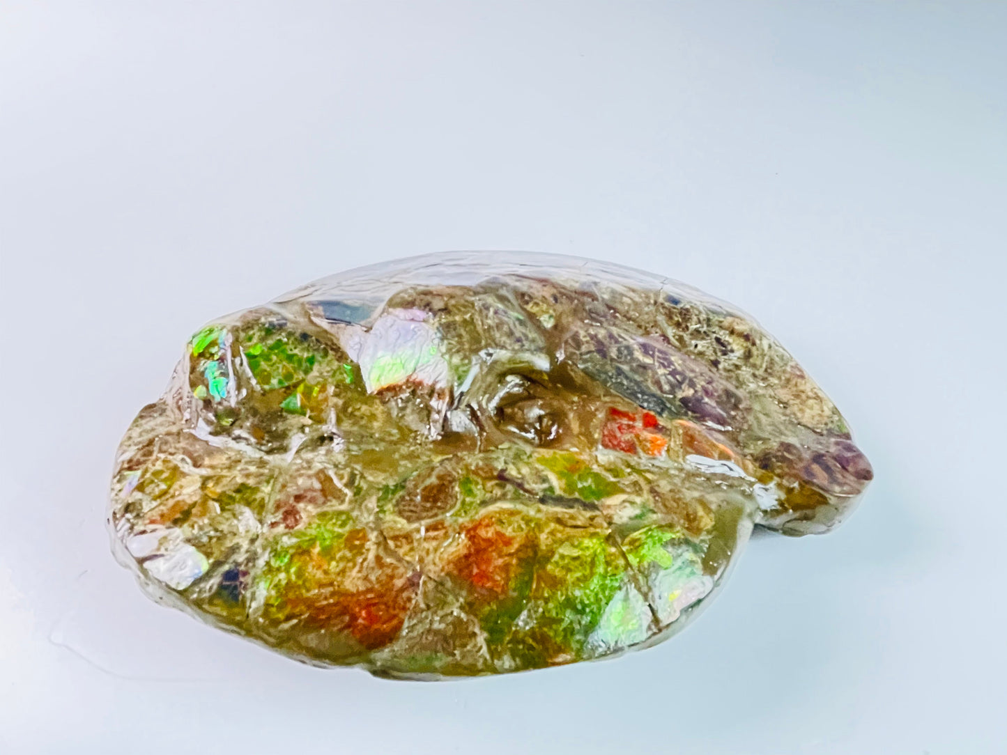 Ammolite Specimen - Frankenstone