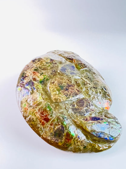 Ammolite Specimen - Frankenstone