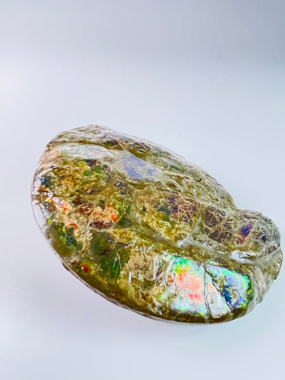 Ammolite Specimen - Frankenstone