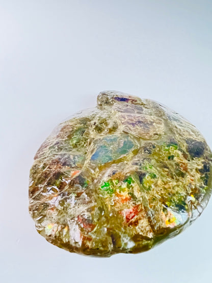 Ammolite Specimen - Frankenstone