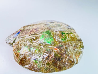 Ammolite Specimen - Frankenstone