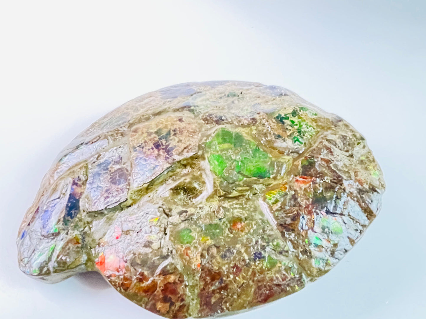 Ammolite Specimen - Frankenstone