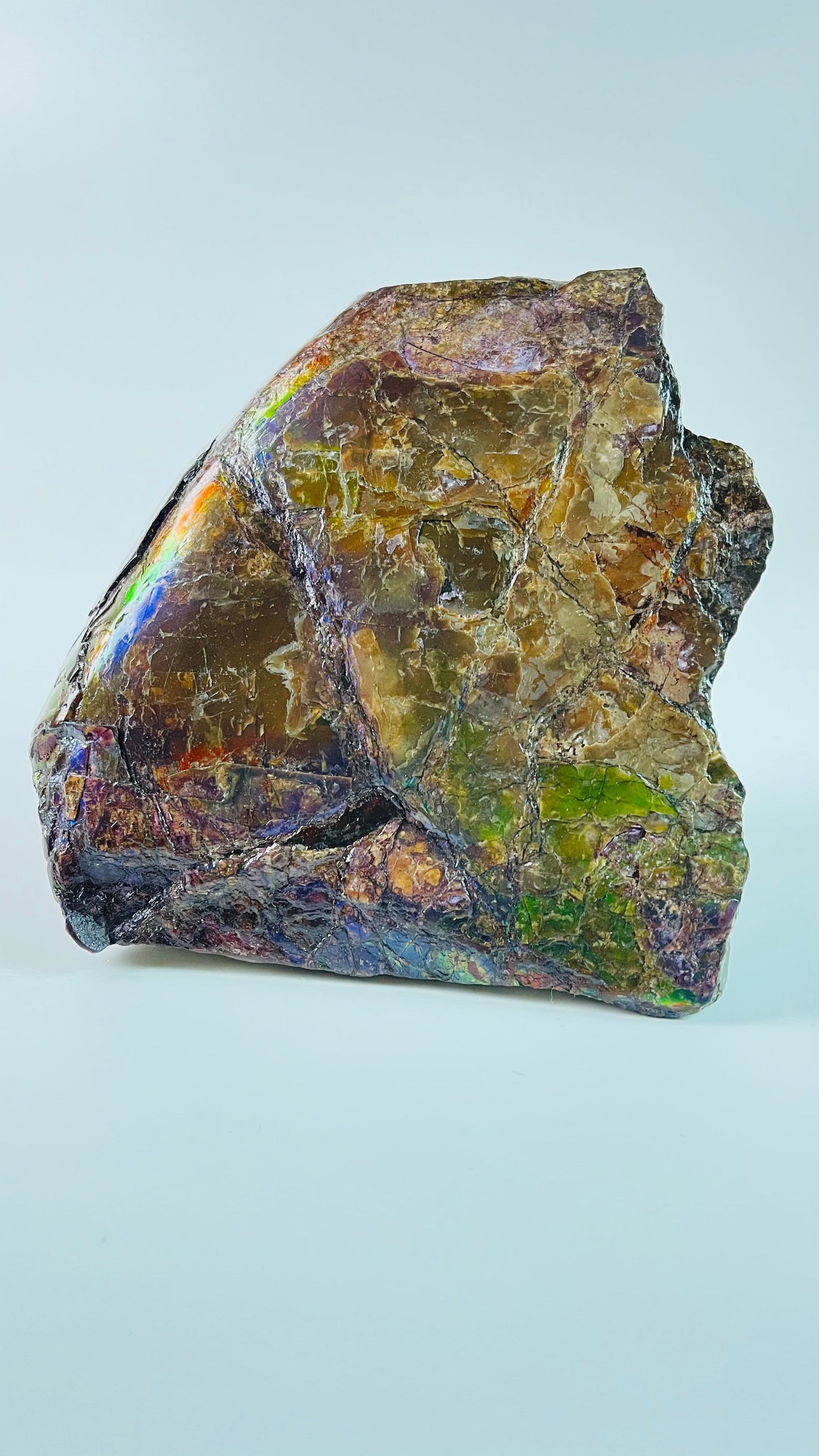 Ammolite Specimen - Rainbow feng shui ammolite display