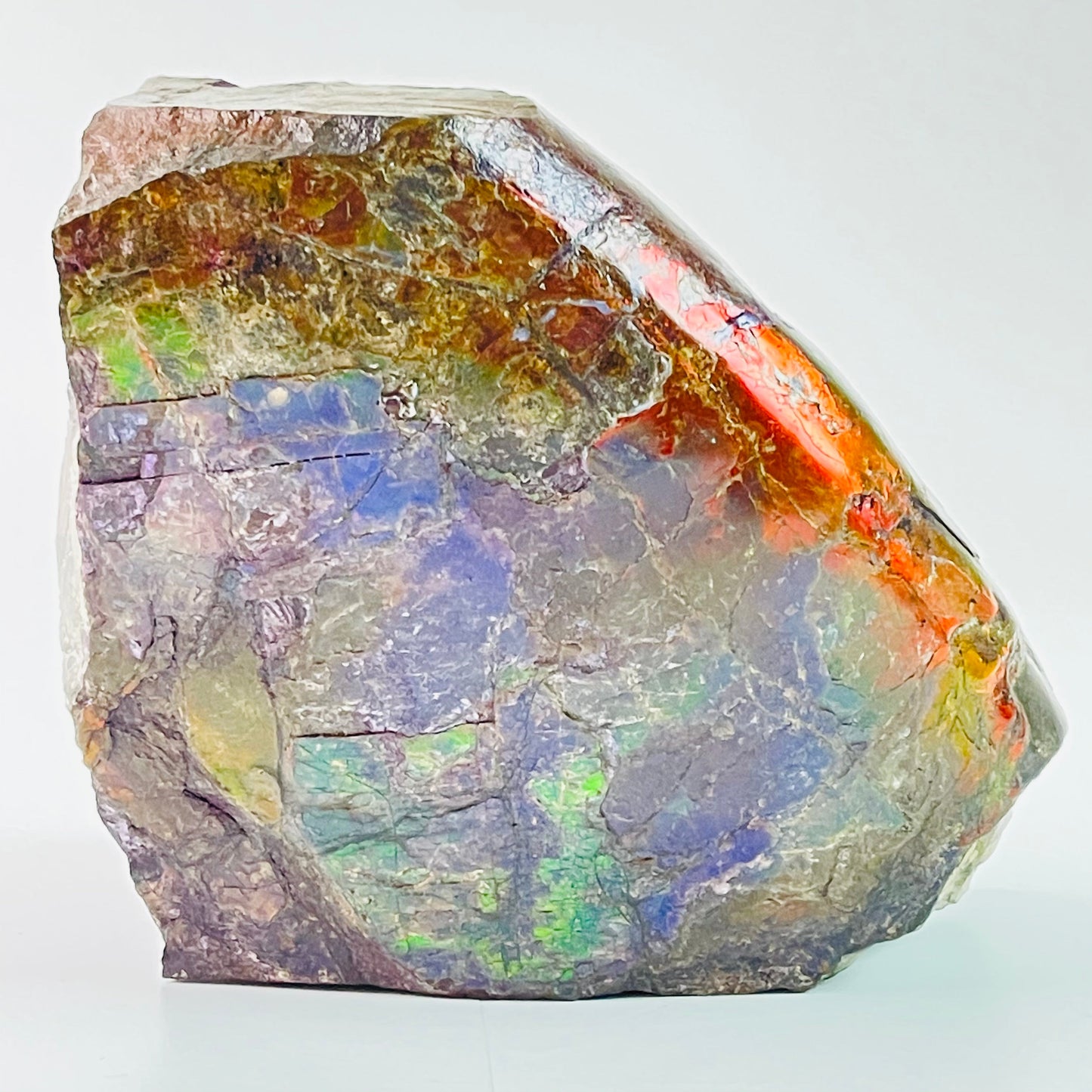 Ammolite Specimen - Rainbow feng shui ammolite display