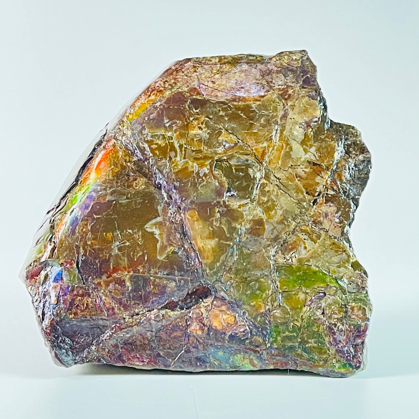 Ammolite Specimen - Rainbow feng shui ammolite display