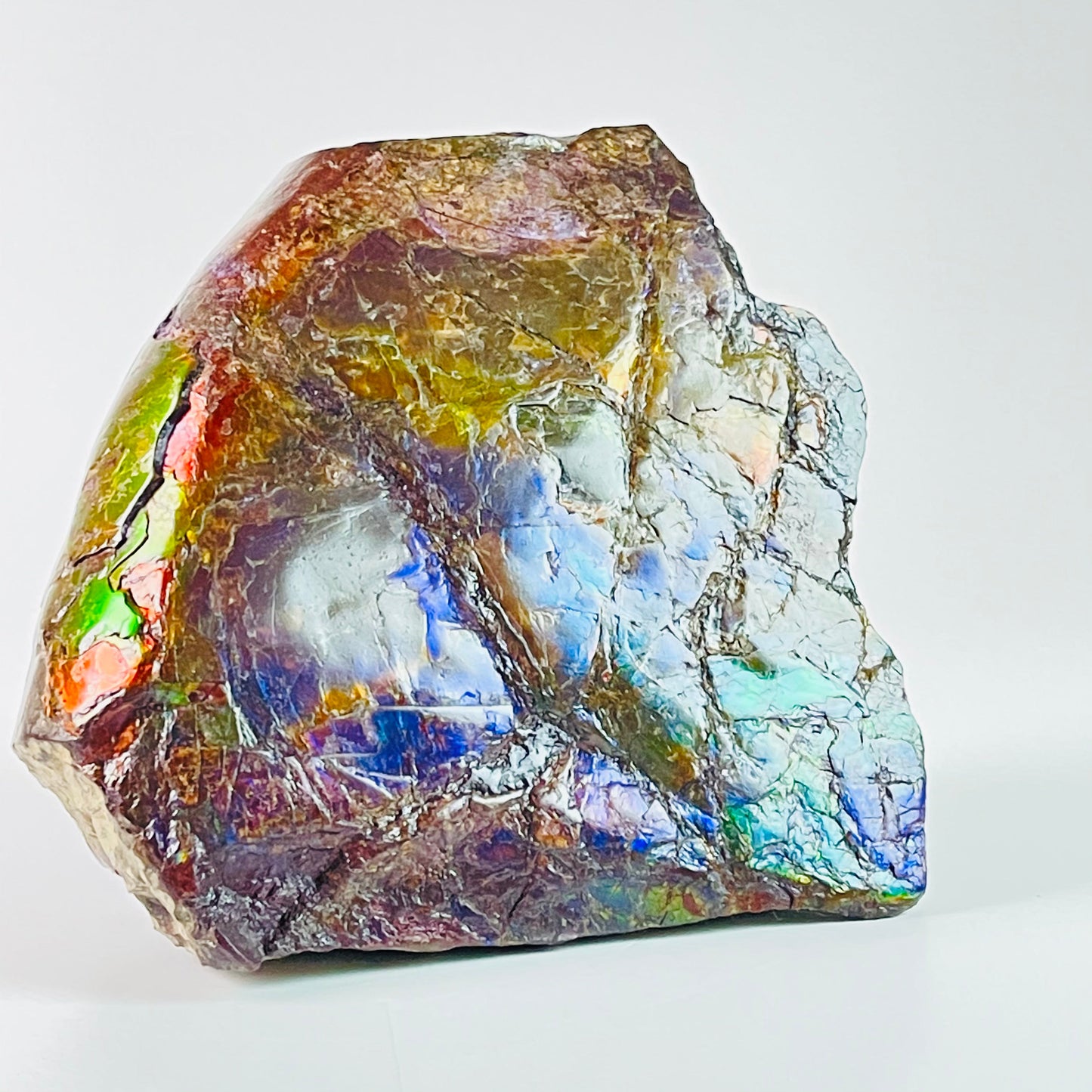 Ammolite Specimen - Rainbow feng shui ammolite display