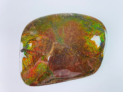 Ammolite Paperweight