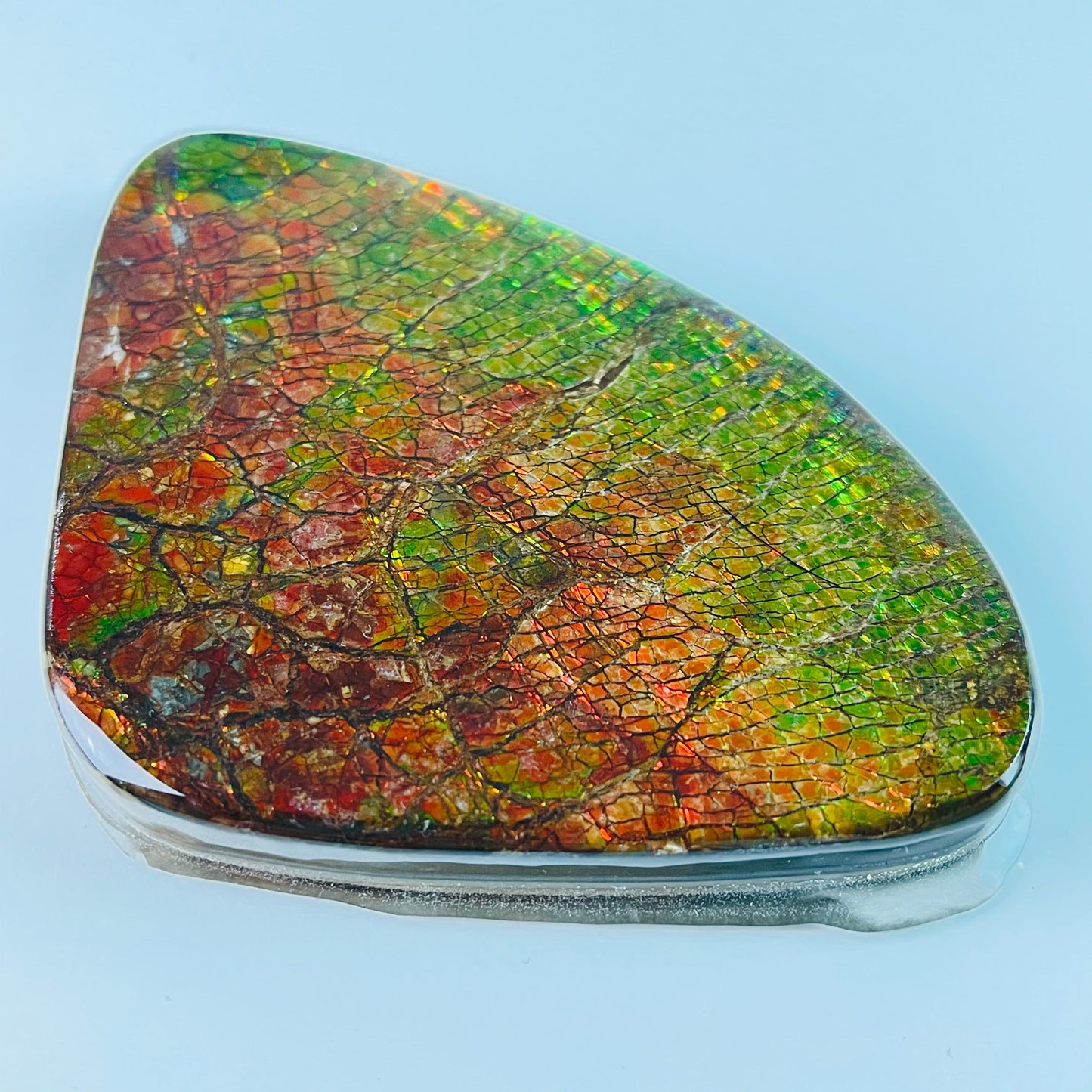 Ammolite Paperweight