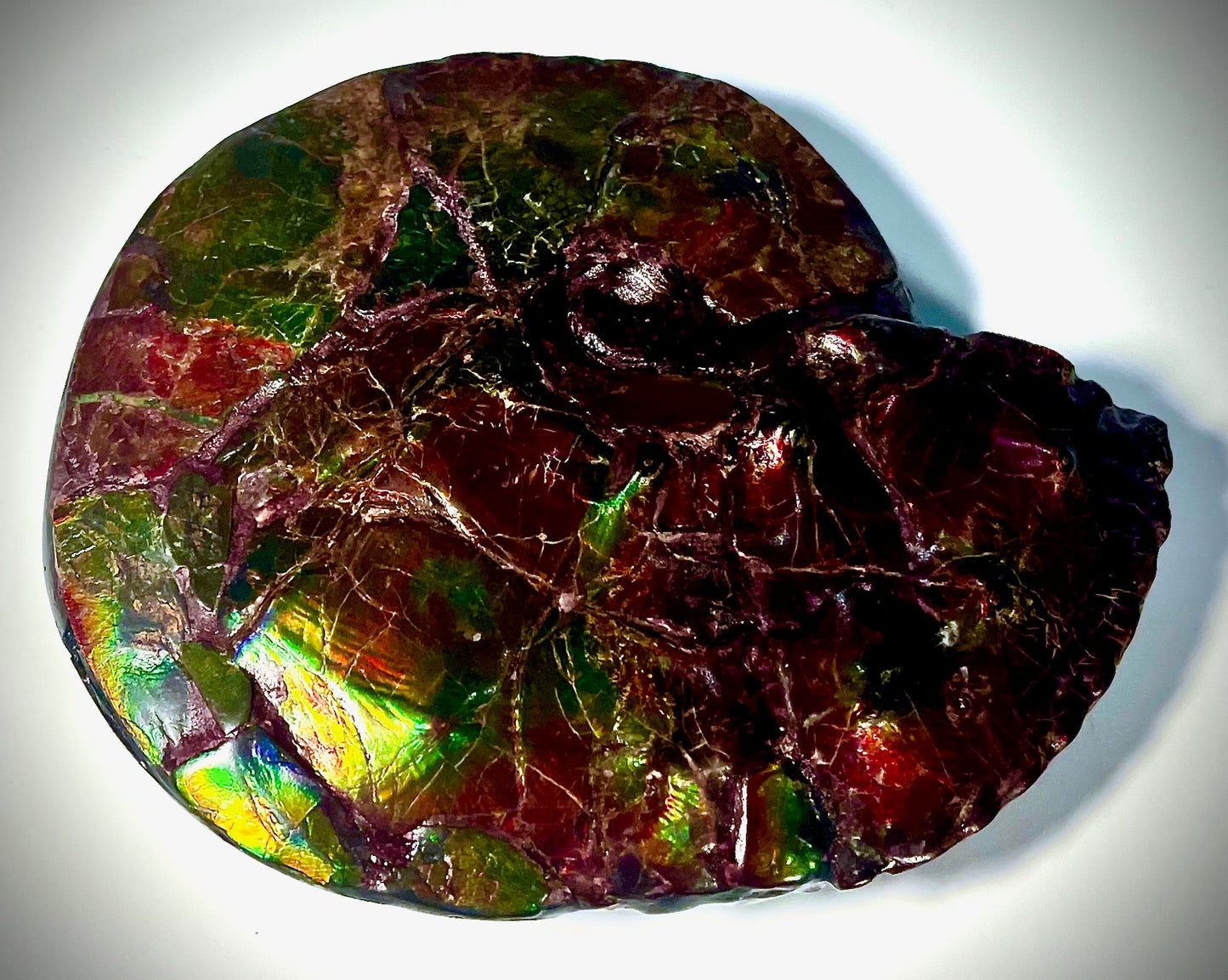 Intercalare On Fire - Double Sided Ammolite