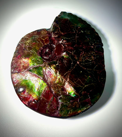 Intercalare On Fire - Double Sided Ammolite