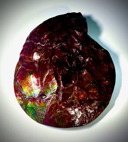 Intercalare On Fire - Double Sided Ammolite