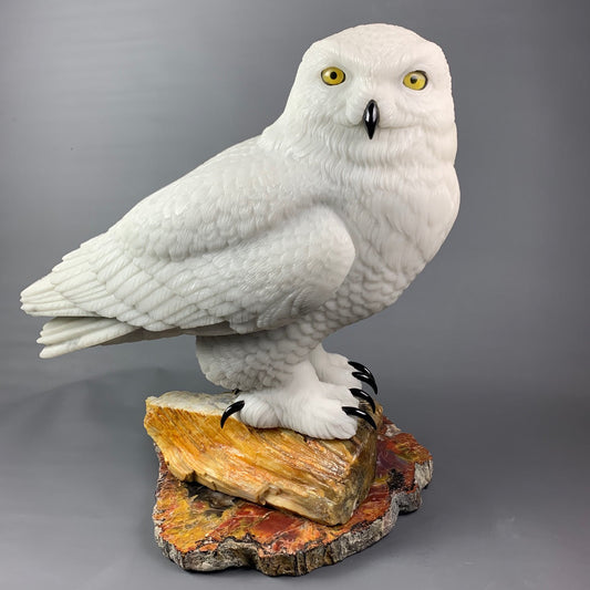 Snowy Owl