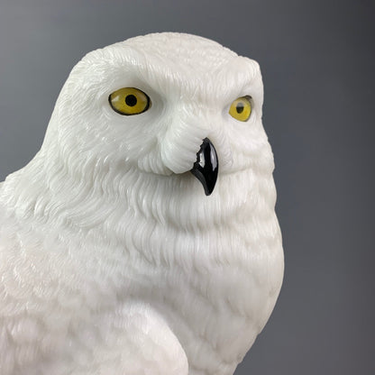 Snowy Owl