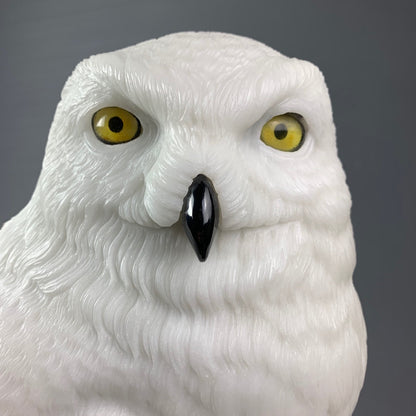 Snowy Owl