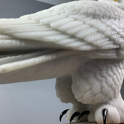 Snowy Owl