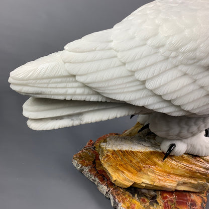 Snowy Owl