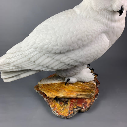 Snowy Owl